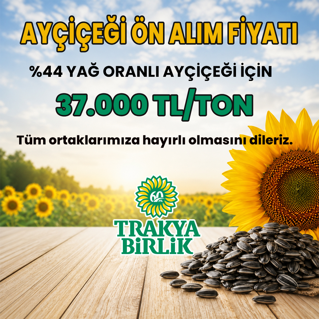 Trakya Birlik Ayçiçeğinde Ön Alım Fiyatını Açıkladı: Ton Başına 37 Bin TL